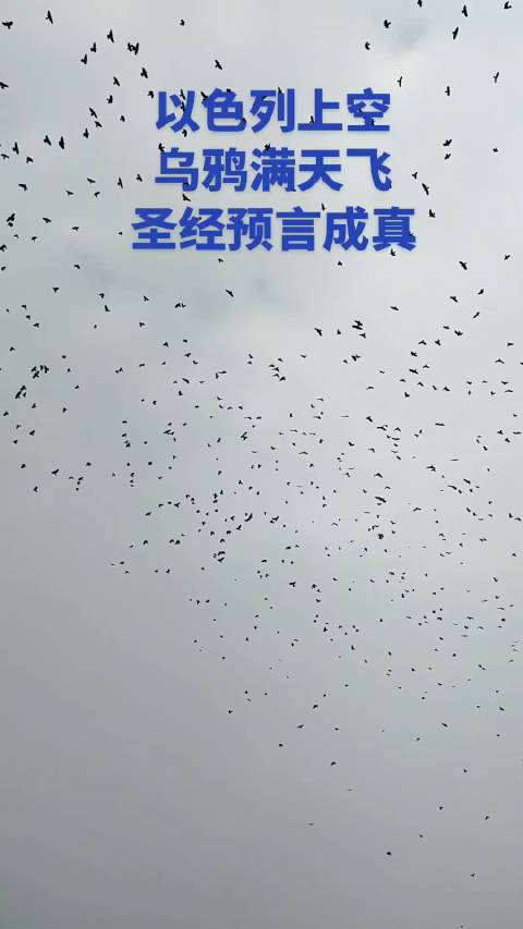 大妈朝鲜购物惊动营业员 意大利杂志评选足球史